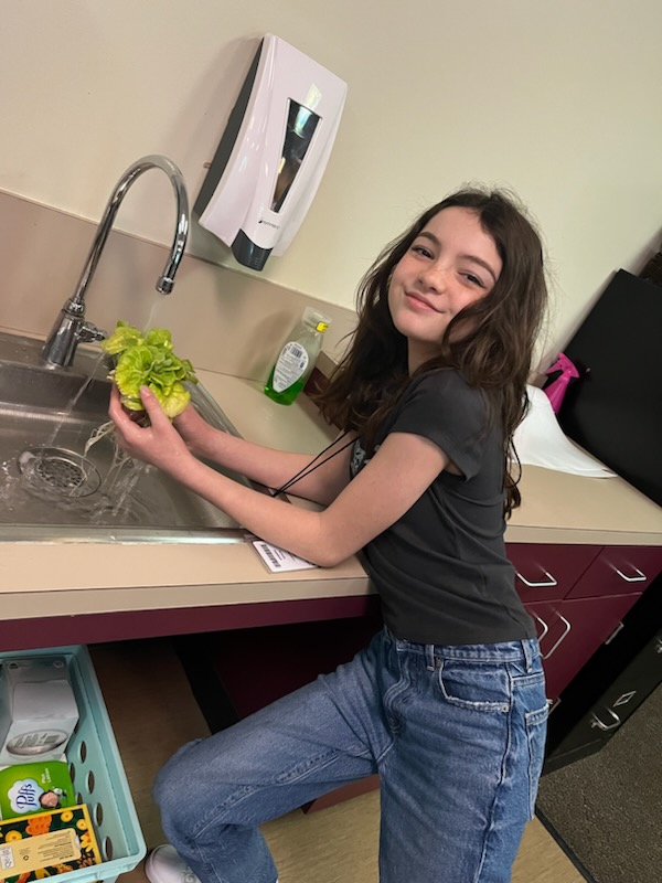 A female Cryar Intermediate student washes a plant in the sink for a plant tower.