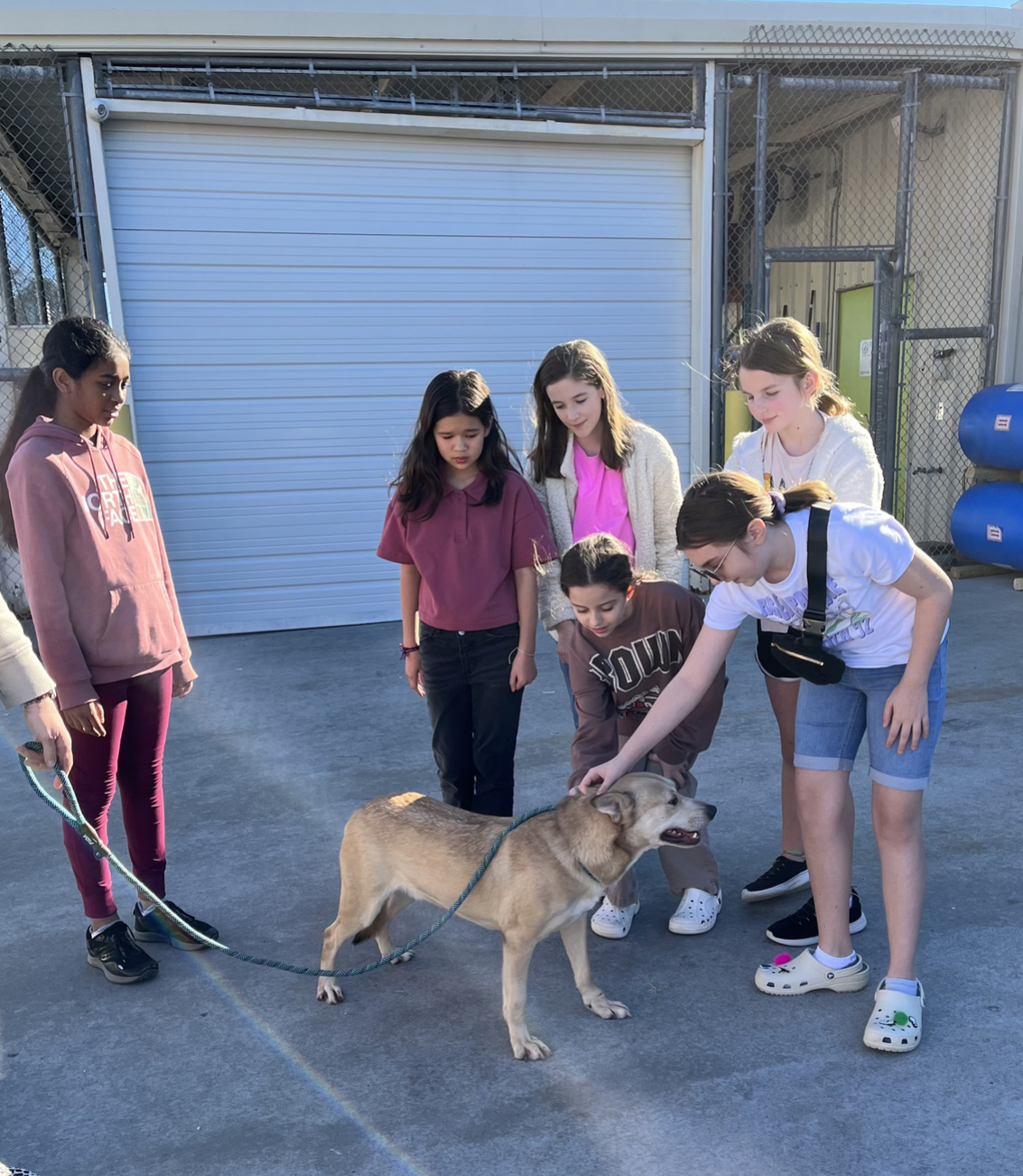 Members of the Mitchell Intermediate Destination Imagination team pet a dog as they performed community service at an animal shelter.
